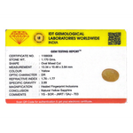 Yellow Sapphire - 5.85 Carat - Pramogh