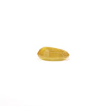 Yellow Sapphire - 3.95 Carat - Pramogh