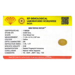 Yellow Sapphire - 3.15 Carat - Pramogh