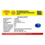 Blue Sapphire - 7.95 Carat