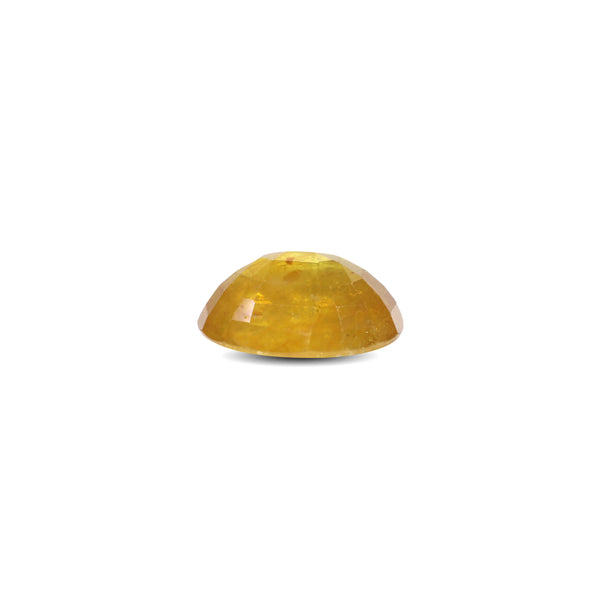 Yellow Sapphire - 9.25 Carat