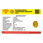 Yellow Sapphire - 5.05 Carat
