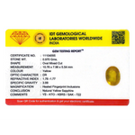Yellow Sapphire - 4.85 Carat