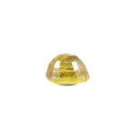 Yellow Sapphire - 4.7 Carat