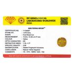 Yellow Sapphire - 7.85 Carat