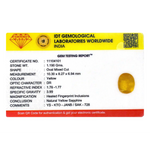 Yellow Sapphire - 5.95 Carat