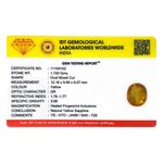 Yellow Sapphire - 8.6 Carat