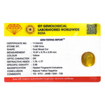 Yellow Sapphire - 5.45 Carat