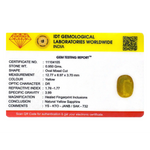 Yellow Sapphire - 4.75 Carat