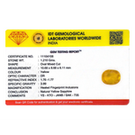 Yellow Sapphire - 6.05 Carat
