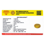 Yellow Sapphire - 6.8 Carat