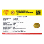 Yellow Sapphire - 5.4 Carat