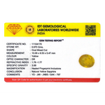 Yellow Sapphire - 4.85 Carat