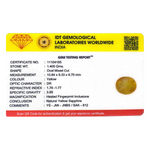Yellow Sapphire - 7 Carat