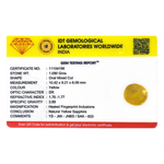 Yellow Sapphire - 5.45 Carat