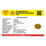 Yellow Sapphire - 4.95 Carat