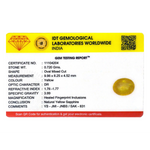 Yellow Sapphire - 3.6 Carat
