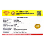 Yellow Sapphire - 4.2 Carat