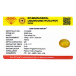 Yellow Sapphire - 4.45 Carat