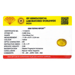 Yellow Sapphire - 3.4 Carat