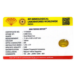 Yellow Sapphire - 4.95 Carat