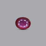 Thailand Ruby - 8.23 Carat - Pramogh