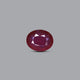 Thailand Ruby - 9.55 Carat - Pramogh