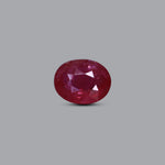 Thailand Ruby - 10 Carat - Pramogh