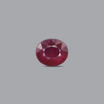 Thailand Ruby - 9.38 Carat - Pramogh