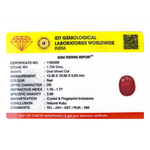 Ruby - 8.65 Carat