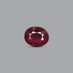 Thailand Ruby - 6.1 Carat - Pramogh