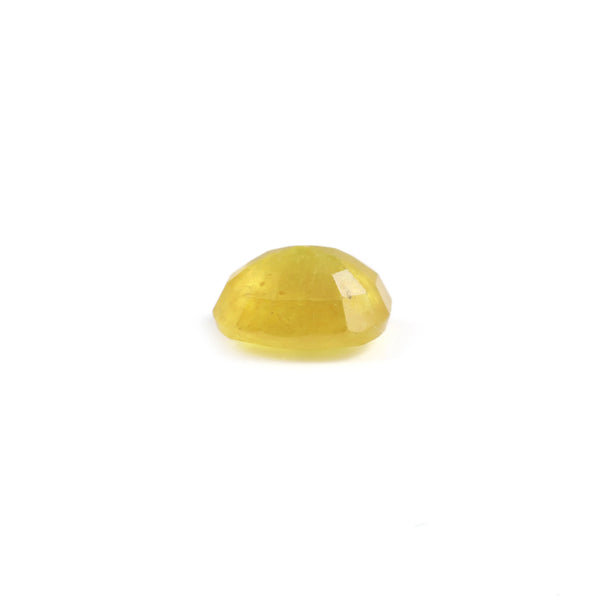 Yellow Sapphire - 3.25 Carat