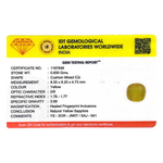 Yellow Sapphire - 3.25 Carat - Pramogh
