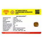 Yellow Sapphire - 4.25 Carat - Pramogh