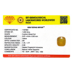 Yellow Sapphire - 3.3 Carat - Pramogh