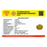 Yellow Sapphire - 4.65 Carat - Pramogh
