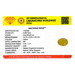 Yellow Sapphire - 2.7 Carat - Pramogh