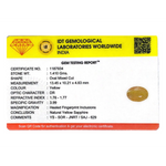 Yellow Sapphire - 7.05 Carat - Pramogh