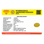 Yellow Sapphire - 3.25 Carat - Pramogh