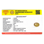 Yellow Sapphire - 3.9 Carat - Pramogh