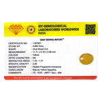 Yellow Sapphire - 4.4 Carat - Pramogh