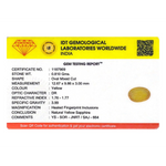 Yellow Sapphire - 4.05 Carat - Pramogh