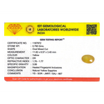 Yellow Sapphire - 3.95 Carat - Pramogh