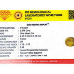 Yellow Sapphire - 3.38 Carat