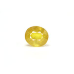 Thailand Yellow Sapphire - 8.8 Carat - Pramogh