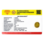 Yellow Sapphire - 3.6 Carat