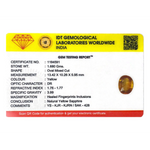 Yellow Sapphire - 8.4 Carat