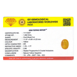 Yellow Sapphire - 5.31 Carat