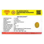Yellow Sapphire - 5.55 Carat