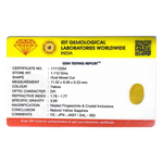 Yellow Sapphire - 5.56 Carat